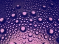 L'Ã©vaporation et la condensation